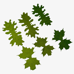Tie Leafs - Color AGM image 0