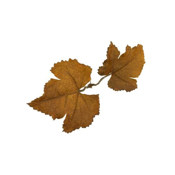 Novritsch Leaf Camo – LC1 - Sienna image