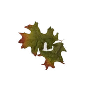Leaf Camo – LC4