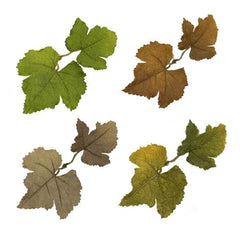 Novritsch Leaf Camo – LC1 image 0